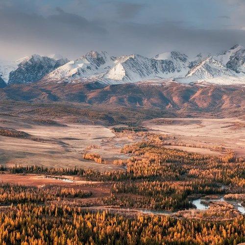 Курайская степь