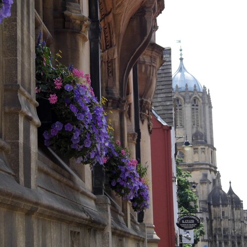 Photo #1500167