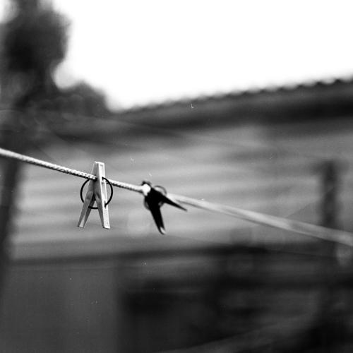 Двое / Two