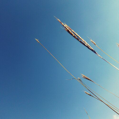 Autumn sky