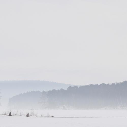 Безмолвное одиночество