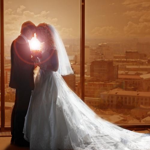 Photo #1501475
