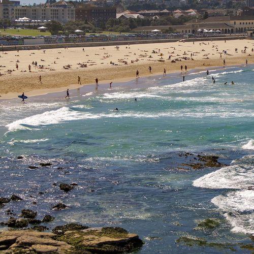 На пляже Bondi Beach