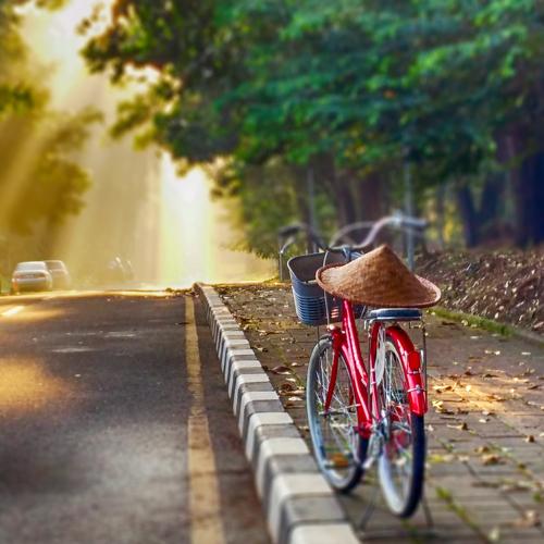 a lonely bike