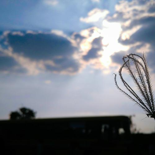 Glow of our life