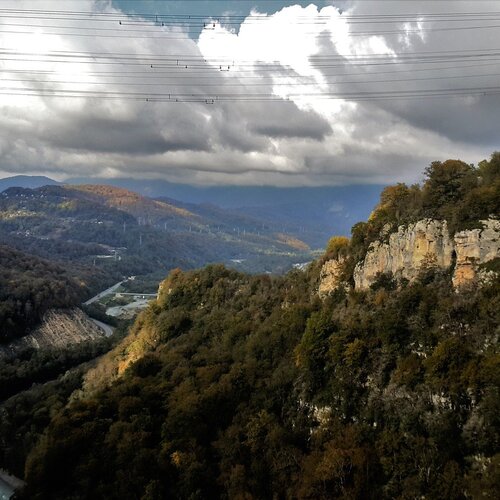 Photo #1505093