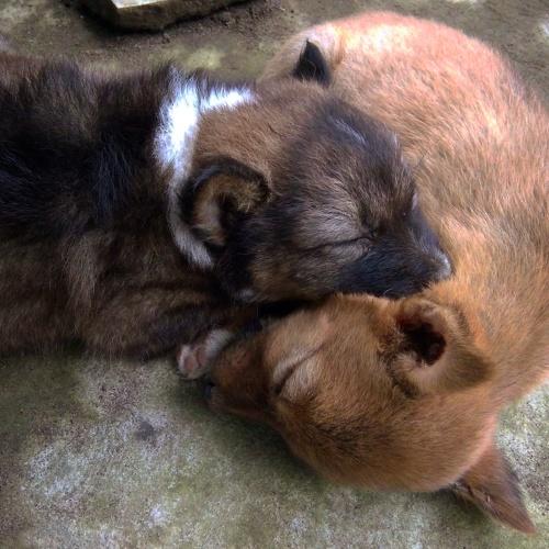 A moment together