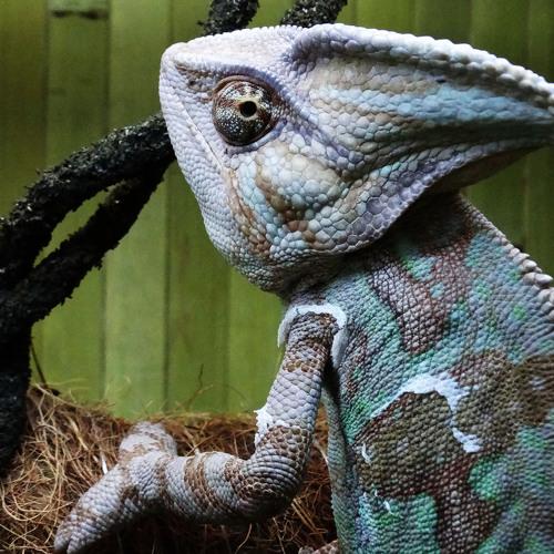 Photo #1506254