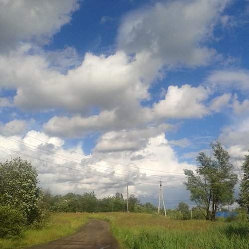 Photo #1506321