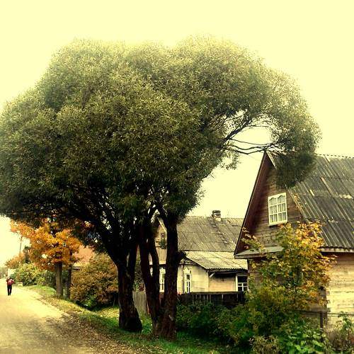 Photo #1506323