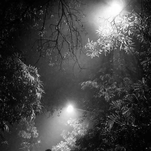 After rain
