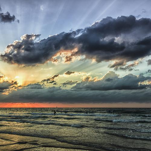 Dreams of surf