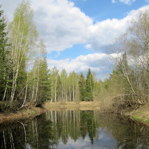 Photo #1508903