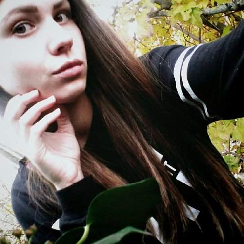 Photo #1511496