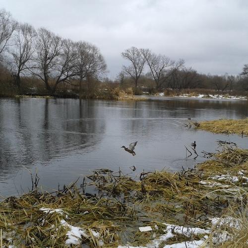 Photo #1511611