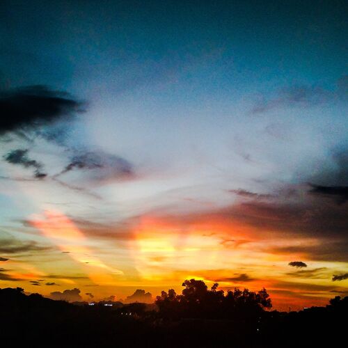 Gold Sky