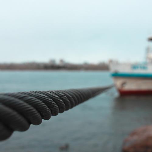 Photo #1512564
