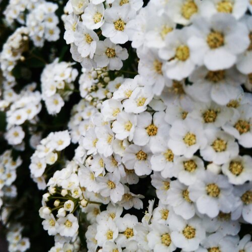 Photo #1513629