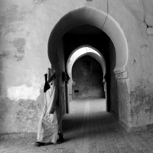 walk behind life