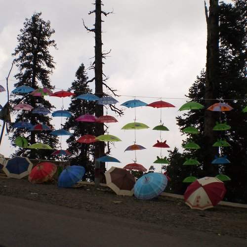 muree