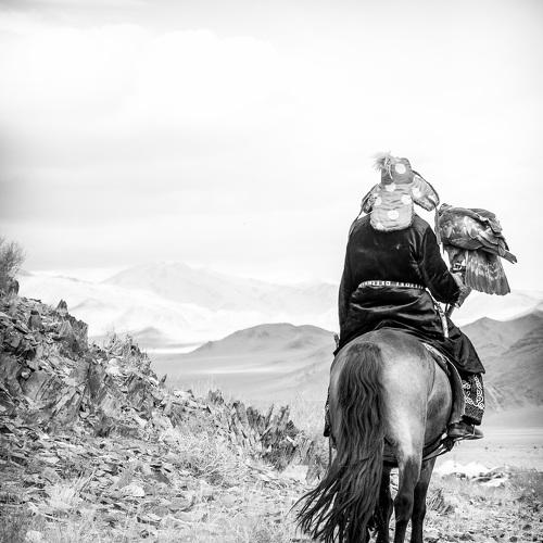 Mongolian Wildlife