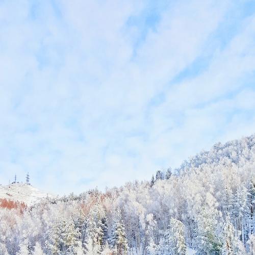 Winter edge