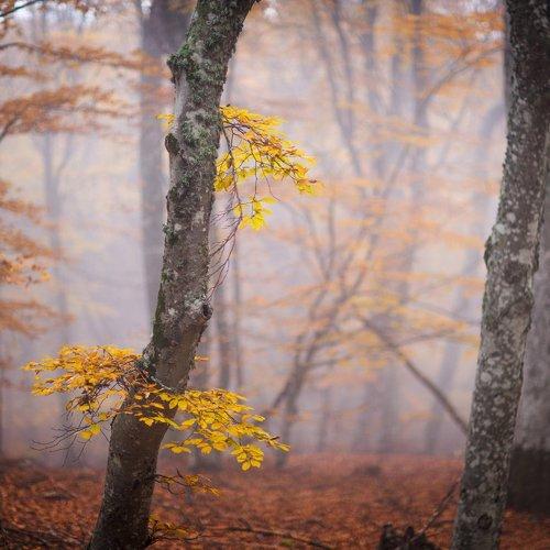 Photo #1517122