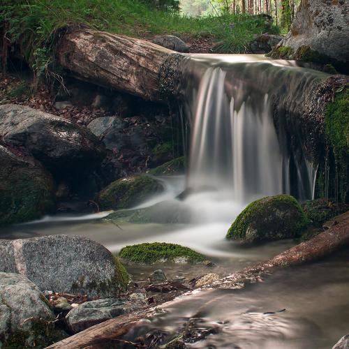 маленький водопад в лесу