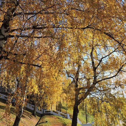 Photo #1521535