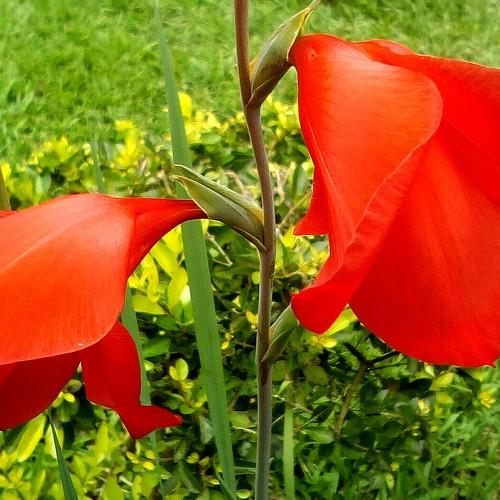 Nature and colour