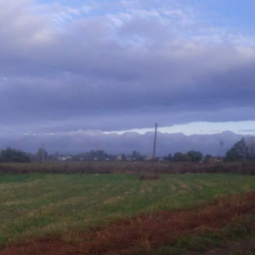 Photo #1521784