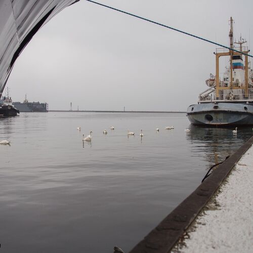 Photo #1524302