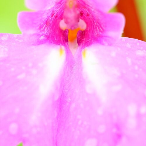 Colourful Raindrops