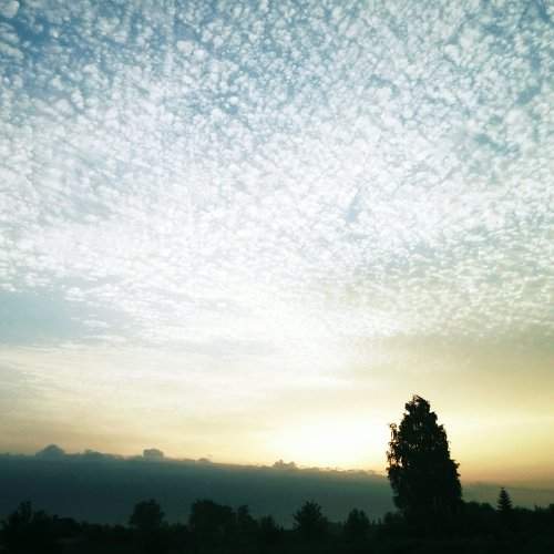 Photo #1528848
