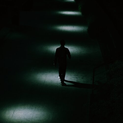 Spotlight