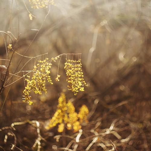 Photo #1530078