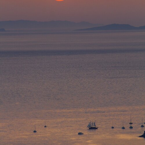Photo #1530548