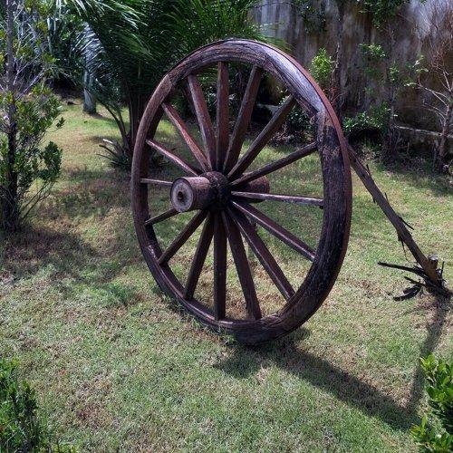 Photo #1531031