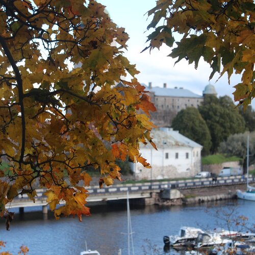 Photo #1531963