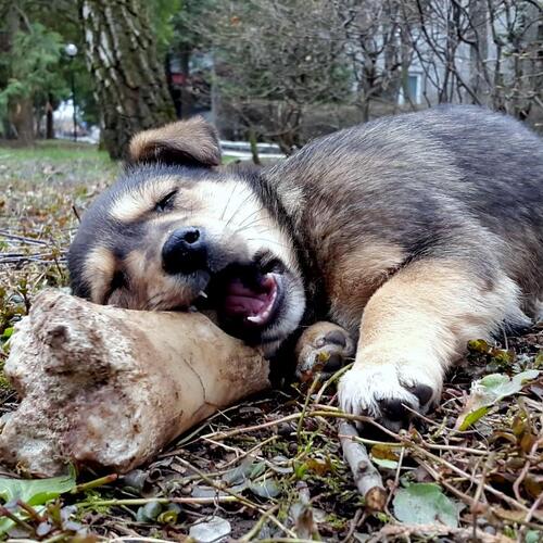 Photo #1532051