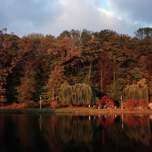 Autumn