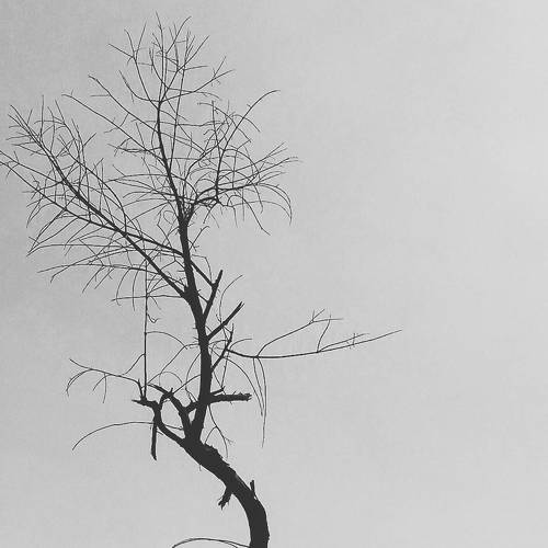 New Beginning