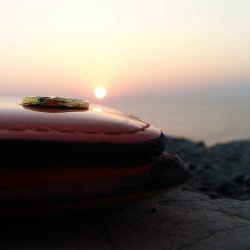 Photo #1536304