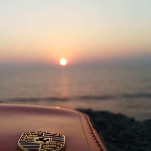 Photo #1536315
