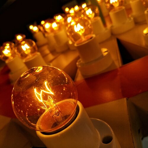 Bulbs