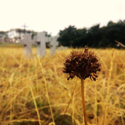 Photo #1539922