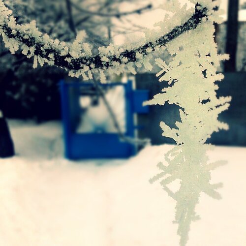 Photo #1540203