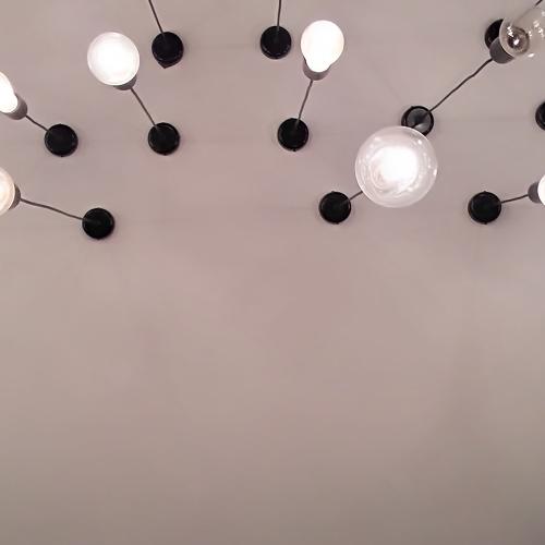 Bulbs