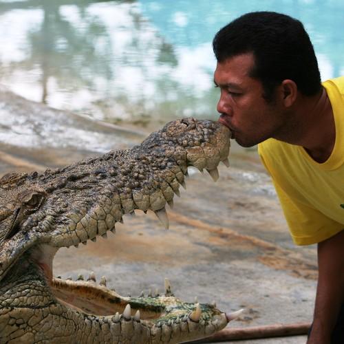 Croco death kiss