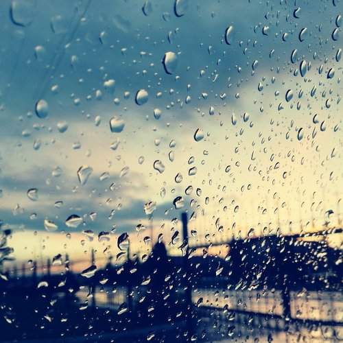 Photo #1542936